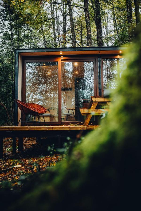Vila Outscape L Refugios Puerto Fuy, Huilo Huilo Exteriér fotografie
