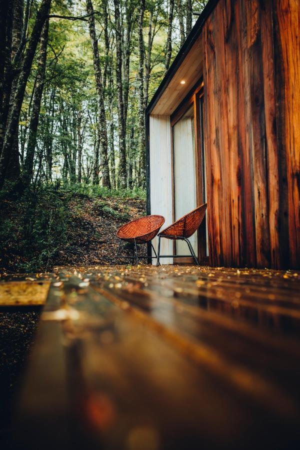 Vila Outscape L Refugios Puerto Fuy, Huilo Huilo Exteriér fotografie